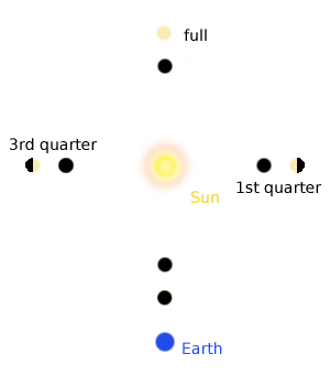 Venus phases